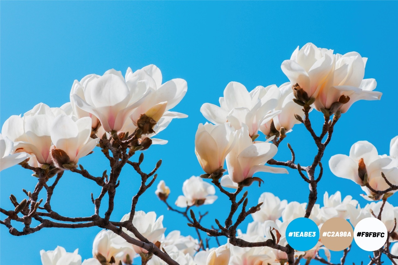 Spring is coming，赢博在线手机版(大中国区)为你试色限定春季“彩妆”（组图）