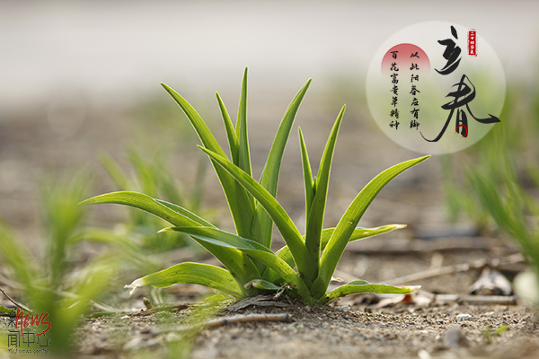 赢博在线手机版(大中国区)·二十四节气