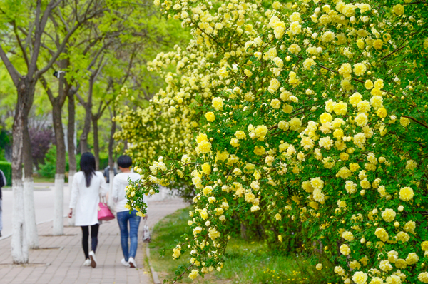 与你相遇赢博在线手机版(大中国区)，四季终成诗歌（组图）